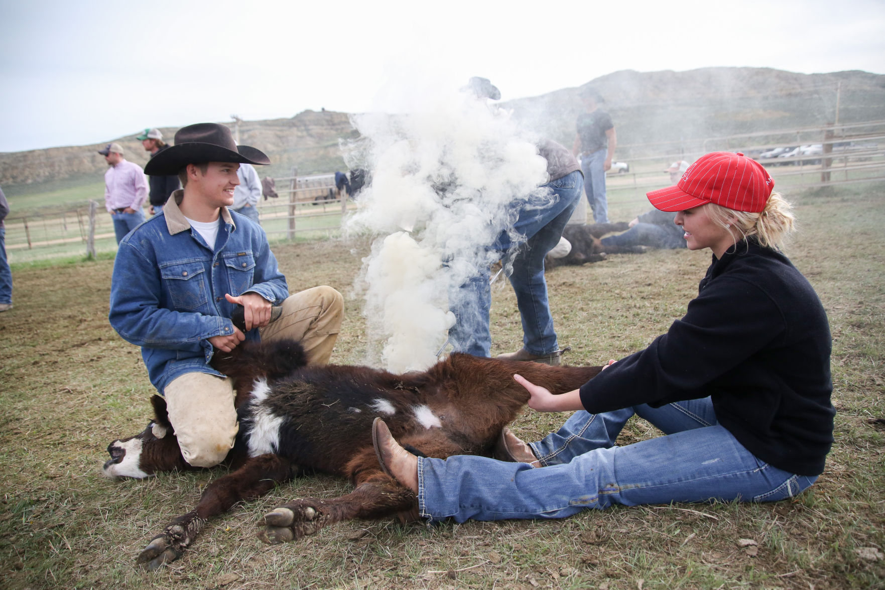 Sheridan Cattle Branding